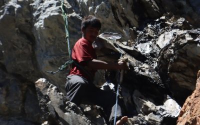 Shilajit Benefits: A Natural Ayurvedic Super food for Energy & Immunity