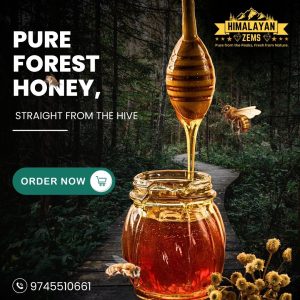 FOREST HONEY