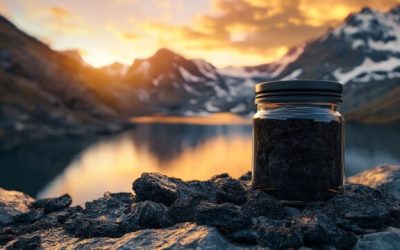 The Best Shilajit in Nepal