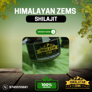 Jumla Shilajit