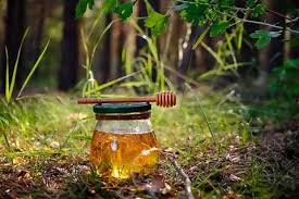 Forest Honey: The Liquid Gold of Ancient Woods – Science & Survival of Wild Nectar