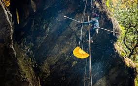 Cliff Honey: The Rare, Nutrient-Packed Honey from Mountain Cliffs – Benefits, Uses & Buying Guide