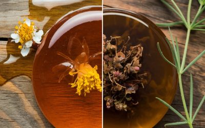 The Ultimate Guide to Pure Himalayan Shilajit & Mad Honey: Benefits, Uses & Buying Tips