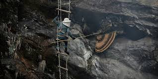 Cliff Honey: The $1,500/kg “Vertical Gold” – Science & Peril of Mountain Harvest